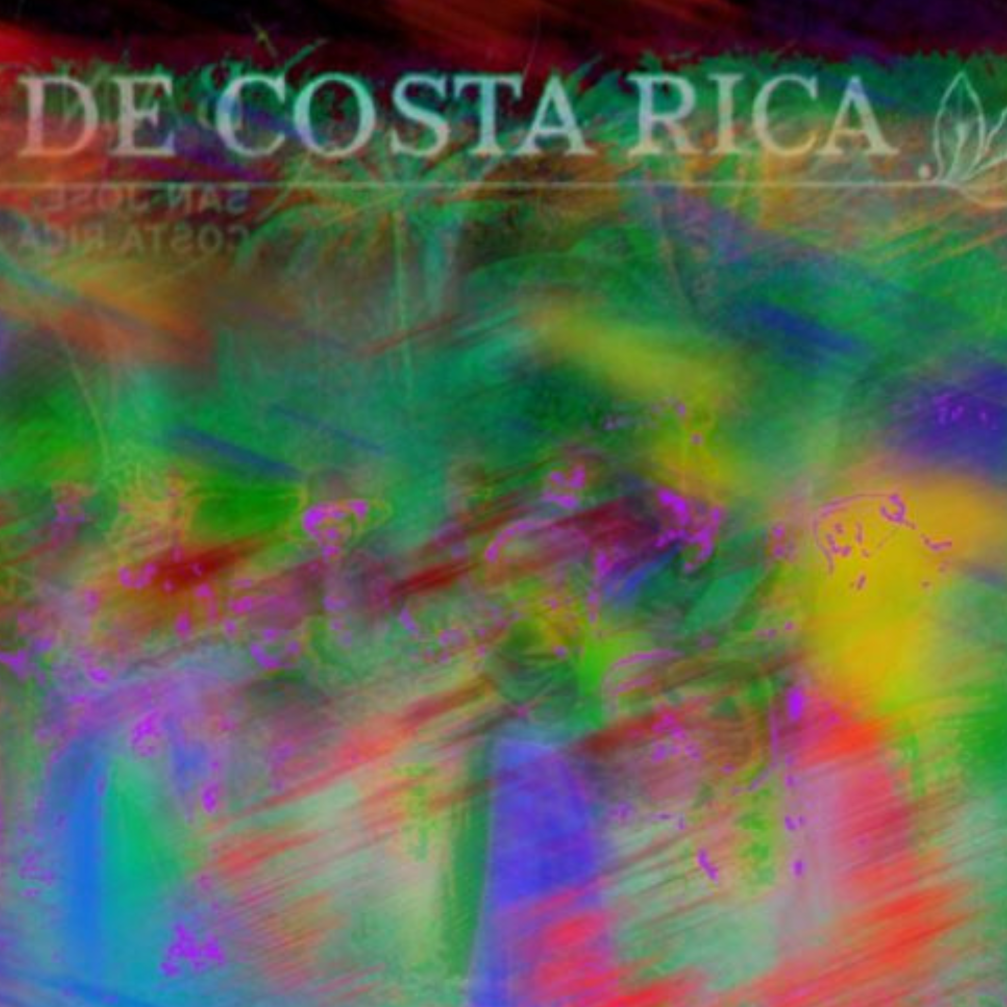"Curandera I" Metallic Foto-Abzug