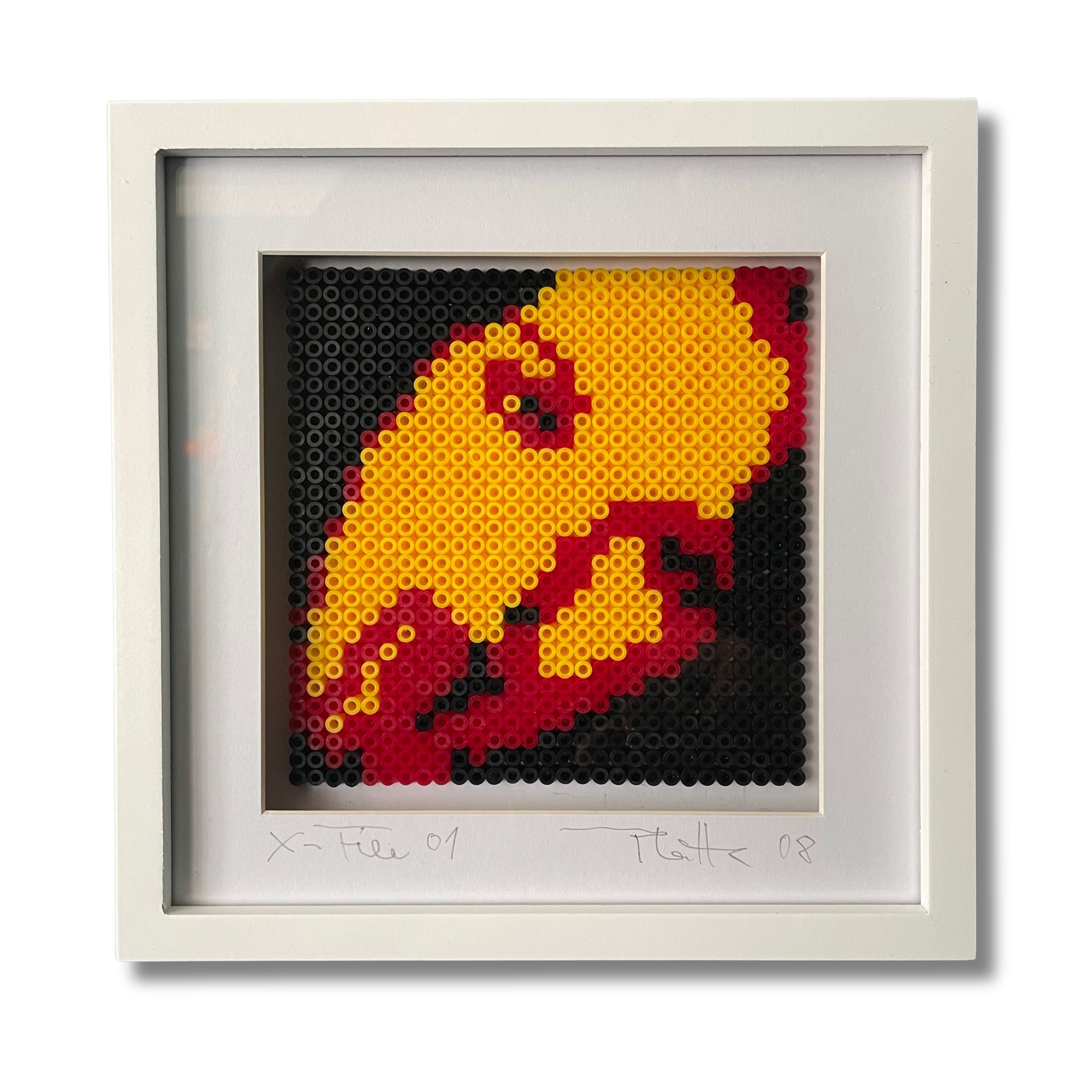 "X-File 01", Fotoobjekt
